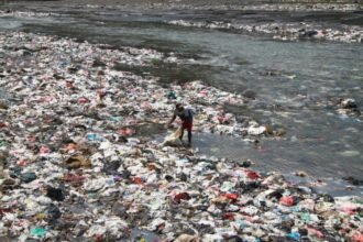 Pencemaran Sungai Brantas Ancam Kelestarian Ikan Lokal di Jawa Timur