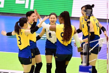 Hyundai Hillstate (Dok. Istimewa)