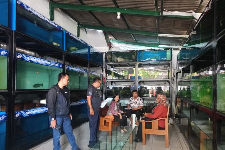 Ilustrasi (Dok. Antara)