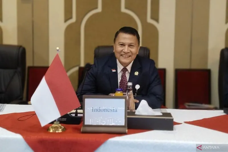 Ketua BKSAP DPR RI Mardani Ali Sera (ANTARA)