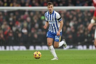 Joel Veltman Tertarik Gabung Timnas Indonesia, Ingin Ikuti Jejak Ole Romeny