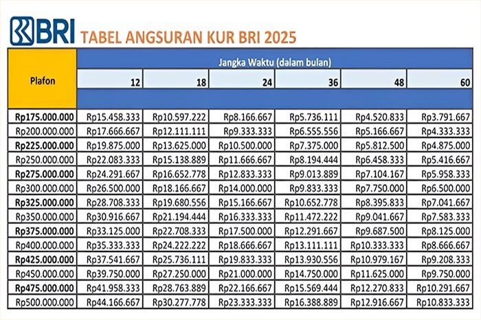 Panduan Lengkap Tabel KUR BRI 2025 Pinjaman 500 Juta, Syarat Utama, Tips Agar Disetujui 2 Panduan Lengkap Tabel KUR BRI 2025 Pinjaman 500 Juta, Syarat Utama, Tips Agar Disetujui