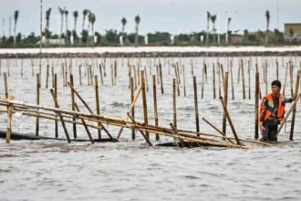 Pagar Laut PIK 2 Jadi Sorotan, Proyek PSN Tetap Penting untuk Ekonomi