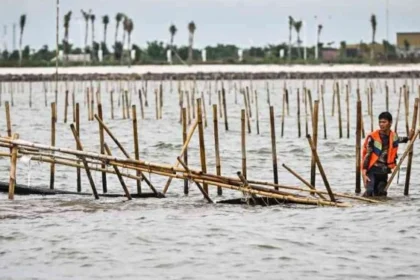 Pagar Laut PIK 2 Jadi Sorotan, Proyek PSN Tetap Penting untuk Ekonomi