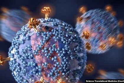 Negara dengan Tingkat HIV Tertinggi di Dunia (Science Translational Medicine)