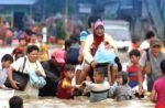 Banjir Kalsel dan Bima Surut, Riau Hadapi Kebakaran Hutan yang Meluas