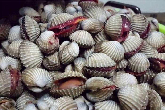 DPR Apresiasi Pertamina Hulu Komitmen Dukung Budidaya Kerang Dara di Muara Badak