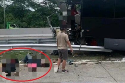 Tragis, Bus Brimob Tabrak Pembatas Tol di Pasuruan Sopir Meninggal