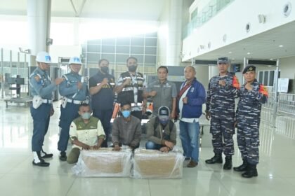 TNI AL Gagalkan Penyelundupan Benih Lobster di Bandara Juanda