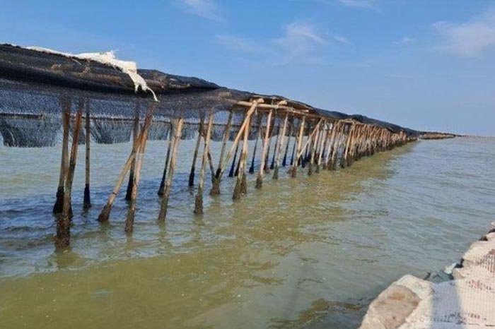 Komisi IV DPR Desak Menteri KKP Ungkap Identitas Pelaku Pagar Laut di Tangerang