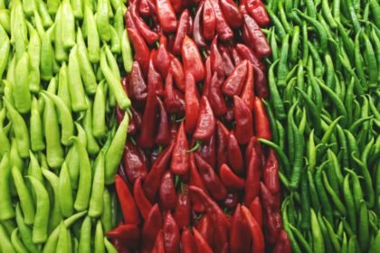 Ilustrasi Cabai (Pexels)