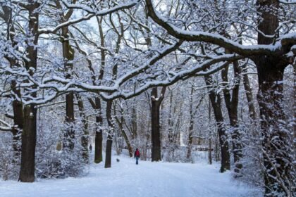 Ilustrasi Negara Terdingin di Dunia (Pexels)