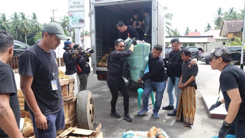 Polri Ungkap Penyelundupan 74 Kg Ganja yang Disamarkan dalam Truk Durian