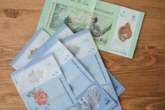 Collection of Malaysian Ringgit banknotes in various denominations displayed on a wooden background.