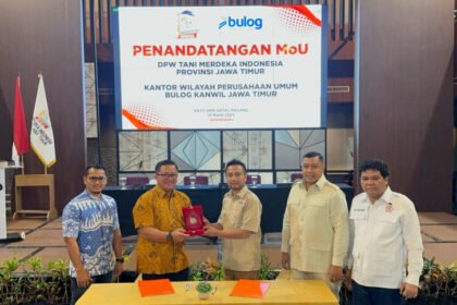 Ilustrasi (Dok. Istimewa)