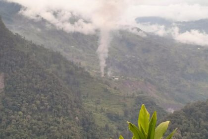 Ilustrasi (Dok. Istimewa)