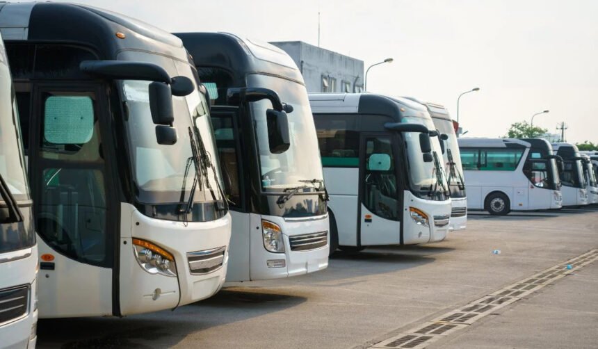 Ilustrasi bus mudik gratis (Dok. Istimewa)