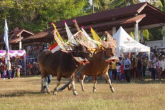 Salah satu event yang digelar di Buleleng, Bali (Dok. MI)