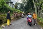 Berkat Perjuangan Kawendra, Jalan di Sumberbaru Jember Kini Mulus Beraspal