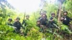 Satgas TNI Temukan Ladang Ganja 0,5 Hektare di Perbatasan RI-PNG