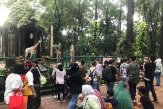 Ramainya pengunjung Taman Margasatwa Ragunana di libur lebaran (Dok. Photo IST)