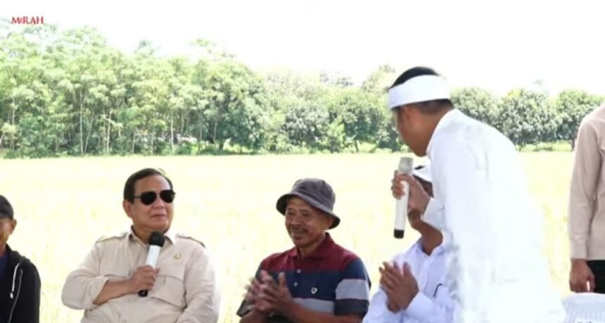 Presiden Prabowo di Panen Raya Padi di Majalengka (Foto: Istimewa)
