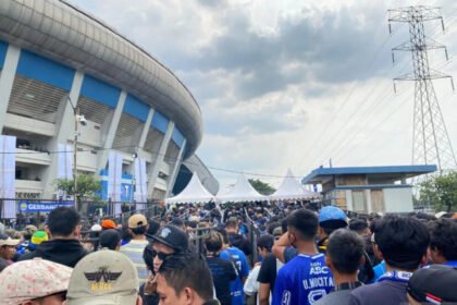 Persib Bandung (Dok. Antara)
