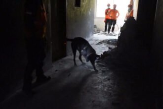 Tim INASAR saat sedang melakukan pencarian korban gempa Myanmar dengan menggunakan K9 (Dok. Photo IST)