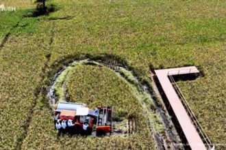 Presiden Prabowo jajal mesin Combine Harvester di Panen Raya Padi di Majalengka (Tangkapan Layar Sekretariat Presiden)