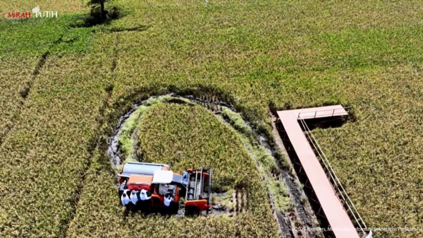 Presiden Prabowo jajal mesin Combine Harvester di Panen Raya Padi di Majalengka (Tangkapan Layar Sekretariat Presiden)
