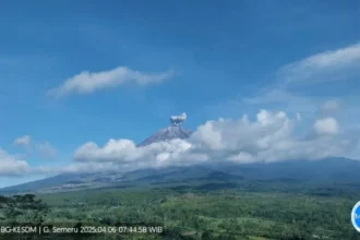 Erupsi Gunung Semeru setinggi 600 meter pada Minggu (6/4). (ANTARA)