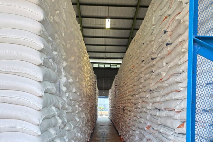 Wakil Ketua Komisi IV DPR RI Alex Indra Lukman saat reses di Palembang, menekankan pentingnya konsistensi Bulog dalam menyerap gabah dan menjaga stabilitas harga beras nasional.