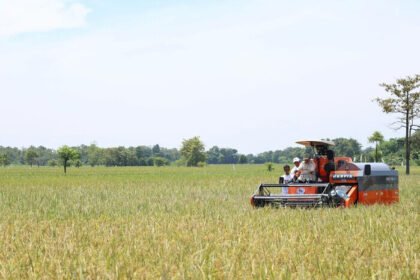 Inpres Nomor 6 Tahun 2025: Strategi Presiden Prabowo Lindungi Petani, Hentikan Impor dan Kendali Harga Beras