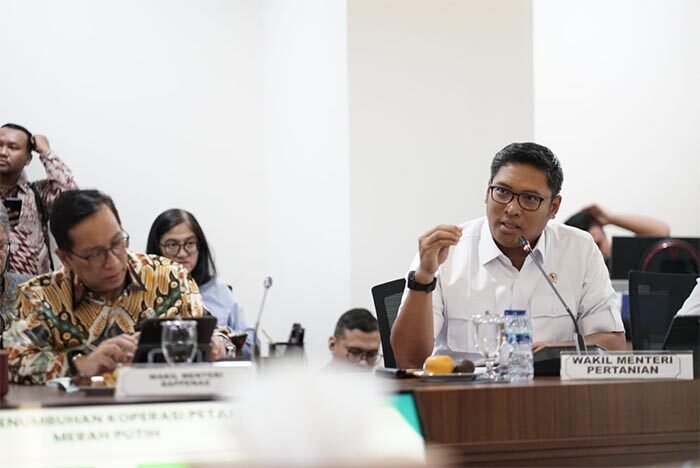 Wamentan Sudaryono ungkap maksud penghapusan kuota impor: tidak ada monopoli.