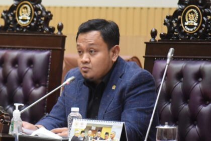 DPR RI (Dok. Istimewa)