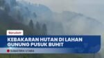 40 Hektar Lahan Gunung Yang Sakral Hangus Terbakar