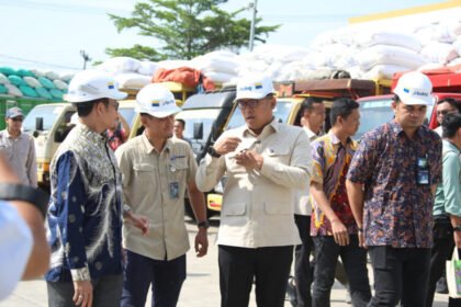 Wamentan Sudaryono Pastikan Kualitas Beras Terjaga (Dok. Istimewa)
