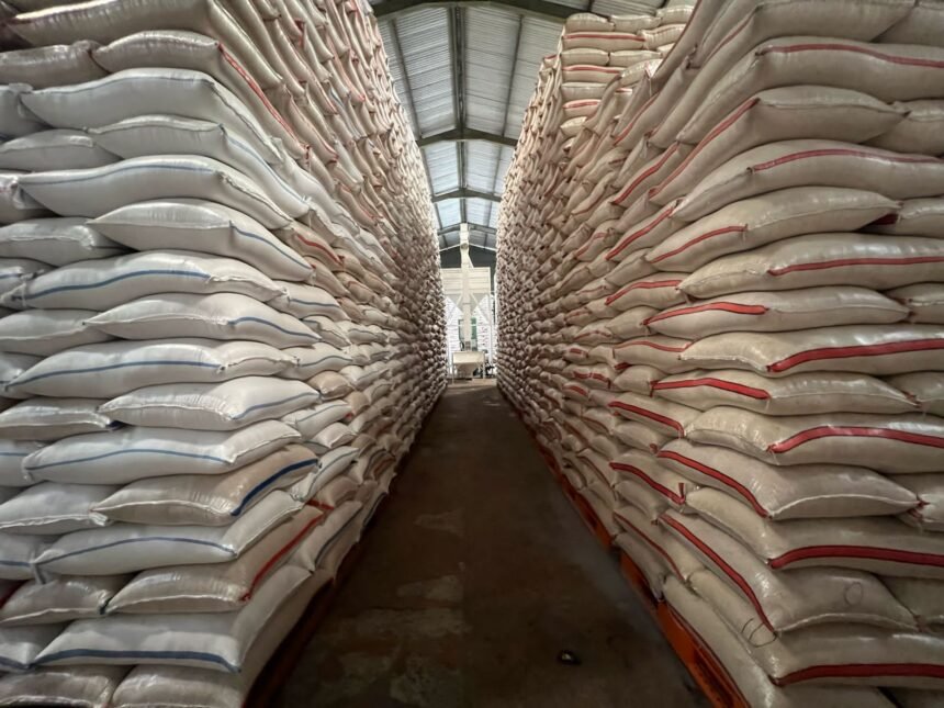 Bulog Catat Rekor Serapan Beras Tertinggi dalam 57 Tahun, Tembus 2 Juta Ton hingga Awal Mei 2025