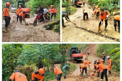 Petugas BPBD Jatim dan tim gabungan berjibaku membersihkan material longsor di Trenggalek, Selasa (20/5/2025). Akses jalan berhasil dibuka kembali.