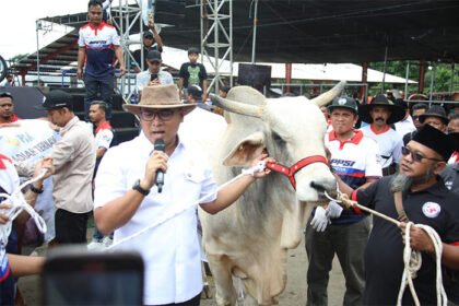 Wamentan Sudaryono, sumbangkan empat ekor sapi jumbo berbobot masing-masing 1,15 ton, 900 kilogram, 890 kilogram, dan 820 kilogram pada acara Kontes dan Expo Sapi APPSI Season 2. (Foto: Istimewa)