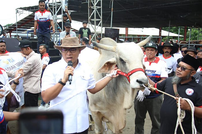 Wamentan Sudaryono, sumbangkan empat ekor sapi jumbo berbobot masing-masing 1,15 ton, 900 kilogram, 890 kilogram, dan 820 kilogram pada acara Kontes dan Expo Sapi APPSI Season 2. (Foto: Istimewa)