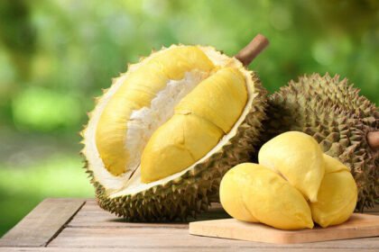 Ilustrasi Durian (Dok. Istimewa)