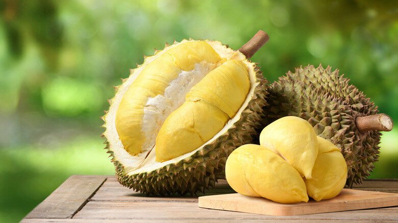 Ilustrasi Durian (Dok. Istimewa)