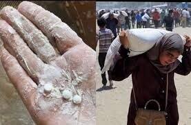 Skandal Mengejutkan di Gaza, Pil Narkotika Terselip dalam Bantuan Tepung dari AS