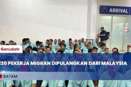 Terbesar Sepanjang 2025, 230 Pekerja Migran Dipulangkan Karena Masalah Imigrasi 12 Terbesar Sepanjang 2025, 230 Pekerja Migran Dipulangkan Karena Masalah Imigrasi