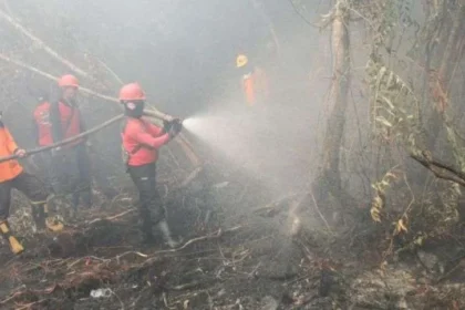 16 Tersangka Ditangkap dalam Kasus Karhutla Riau