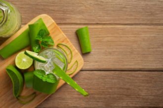 Ilustrasi Lidah Buaya (Dok. Istimewa)