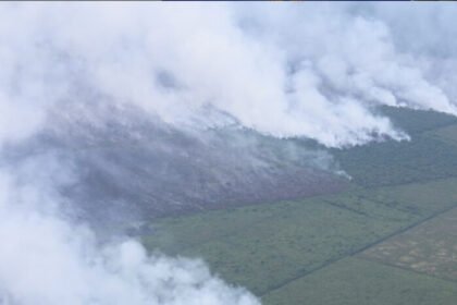 Kebakaran lahan seluas 43 hektare yang melanda empat kabupaten di Sumatra Selatan berhasil dipadamkan melalui aksi cepat penyiraman darat oleh tim gabungan. BNPB terus meningkatkan pemantauan karhutla di berbagai wilayah sebagai langkah antisipasi musim kemarau.