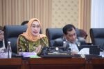 Ketua Komisi VI DPR RI Anggia Ermarini (Dok. Istimewa)