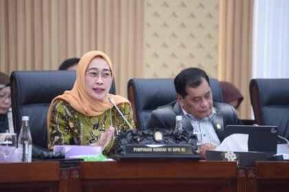 Ketua Komisi VI DPR RI Anggia Ermarini (Dok. Istimewa)